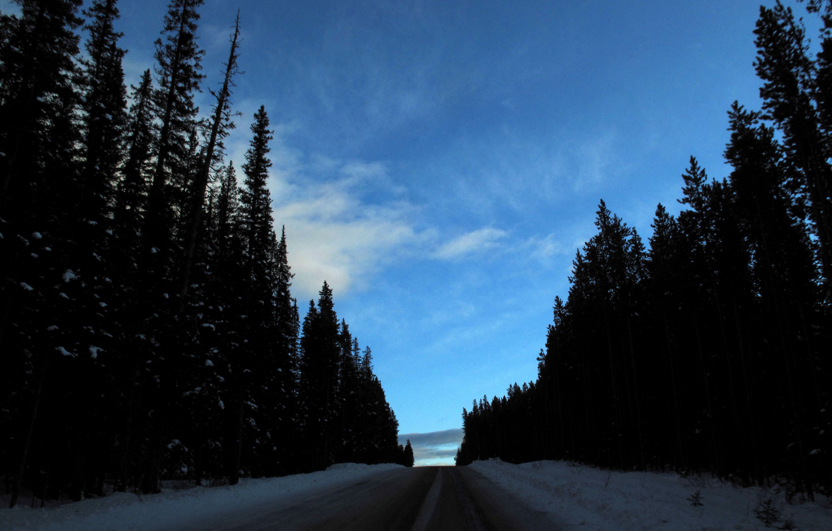 Couple killed in grizzly bear attack in Canada's Banff National Park
