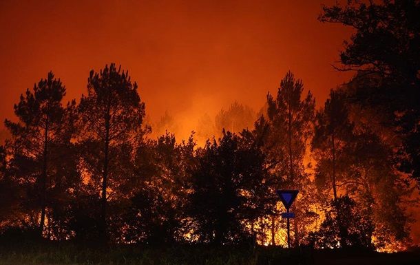Более 400 граждан Франции арестованы по делу о лесном поджоге