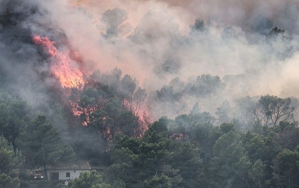 Поглощение CO2 европейскими лесами снижается, что ставит под угрозу цели ЕС