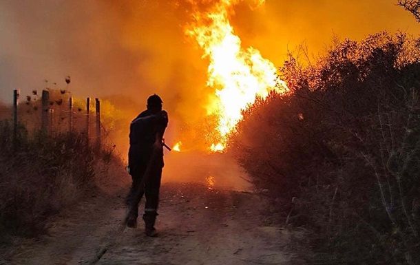 В Алжире рассматривают смертную казнь за уничтожение лесов