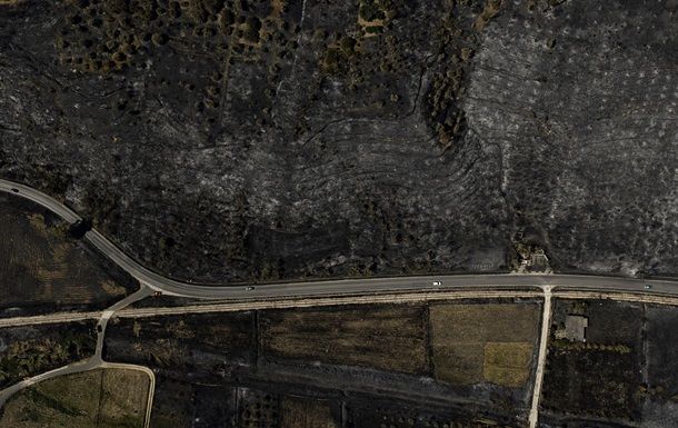 Пожары в лесах Европы за год охватили почти 650 тысяч гектаров