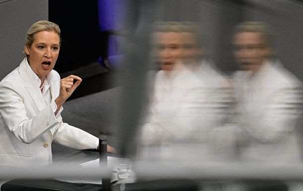 Лидер партии AfD высказалась по поводу помощи Украине