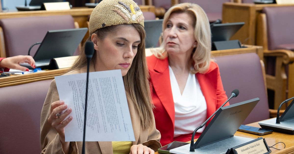 Vuković Kuč: Nema više razloga za odlaganje uvođenja femicida u Krivični zakonik