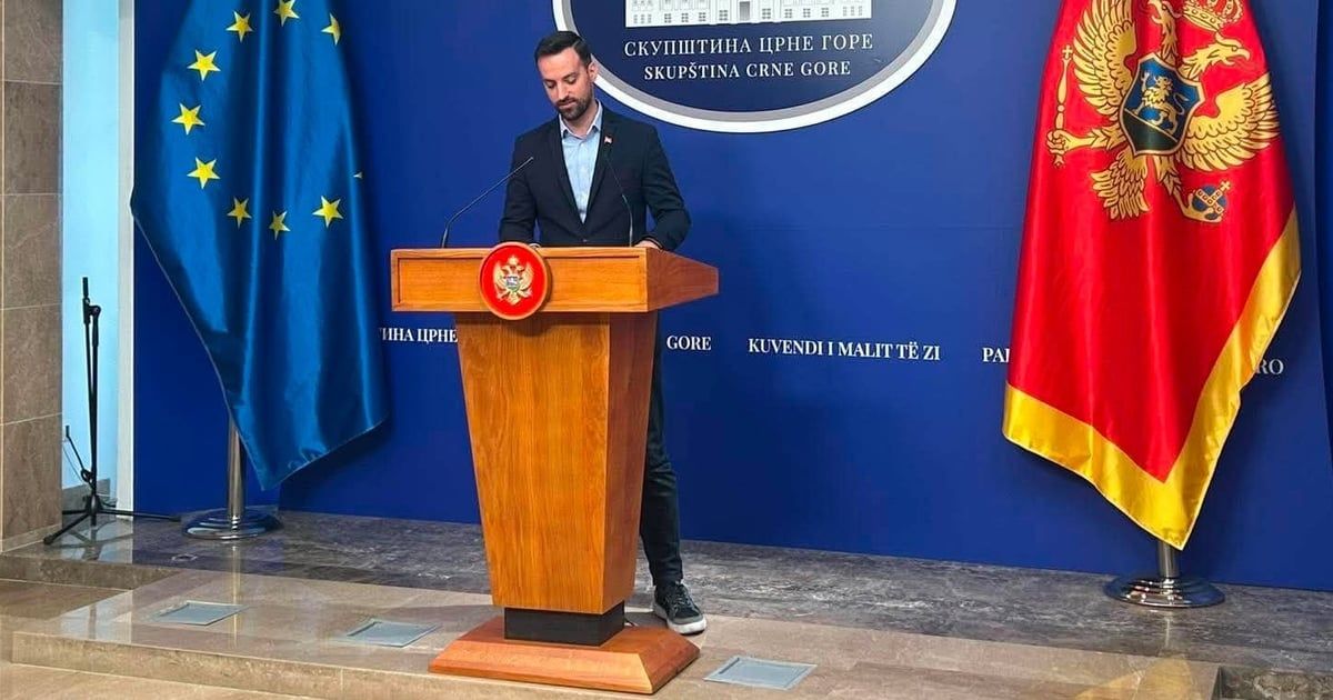 Zirojević: Sjednica Odbora za bezbjednost po treći put nije održana, obavijestiću međunaro
