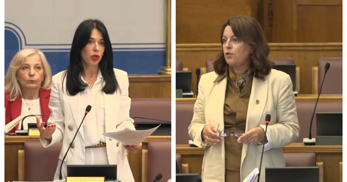 Vujović: Štampa je bila ugrožena i bez PDV-a; Bojanić Lalović: Vi treba da promovišete knj