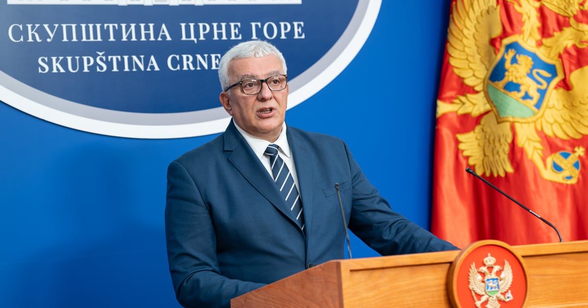 Mandić: Kroz "Novi srpski odgovor za novo vrijeme", uz širenje kruga saveznika, riješićemo