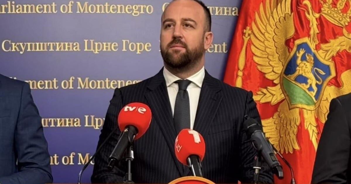 Nikolić: Pritisak javnosti i argumenti DPS-a i opozicije urodili plodom
