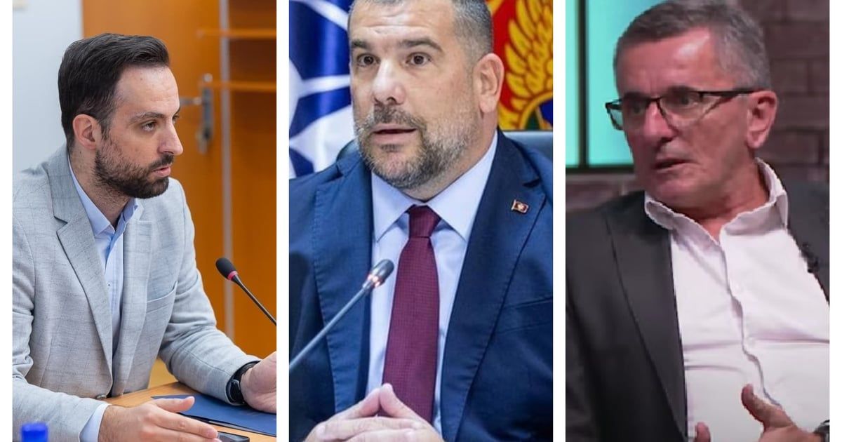 Krapović Zirojeviću i Raduloviću: Gospodo, u problemu ste