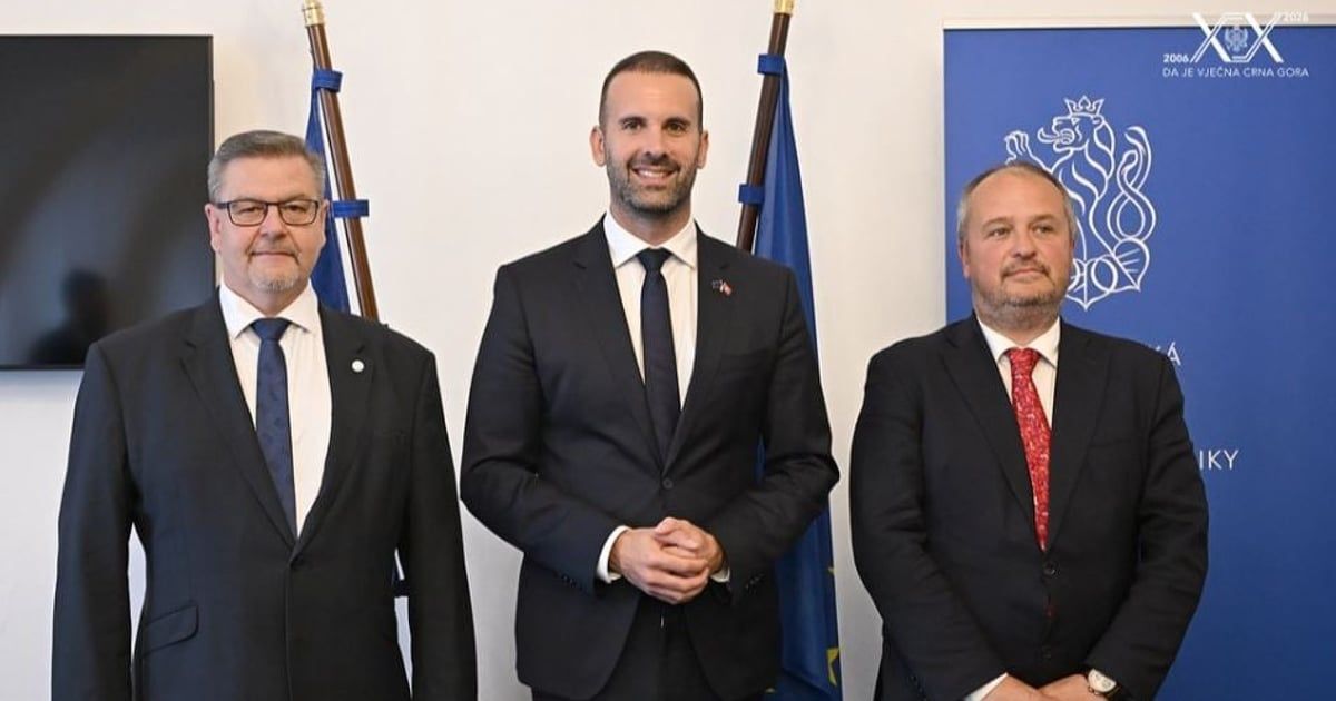Spajić sa predstavnicima Predstavničkog doma: Svi politički akteri u Češkoj podržavaju brz