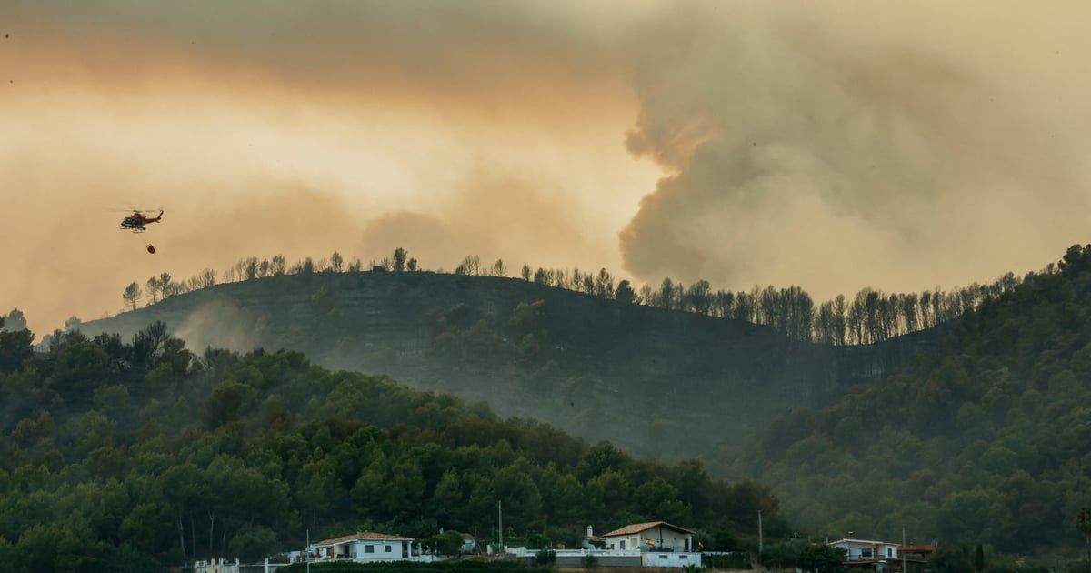 Mehanizacija u šumi najvjerovatnije izazvala veliki požar u Španiji