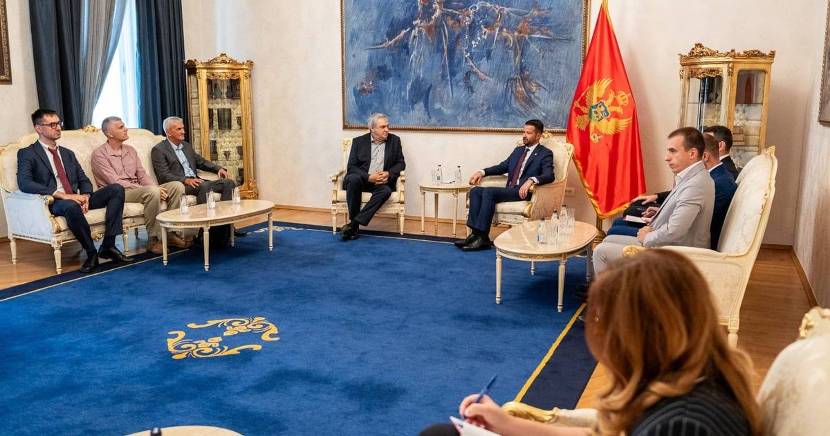 Milatović: Vještačka inteligencija može otvoriti nova, dobro plaćena radna mjesta u Crnoj