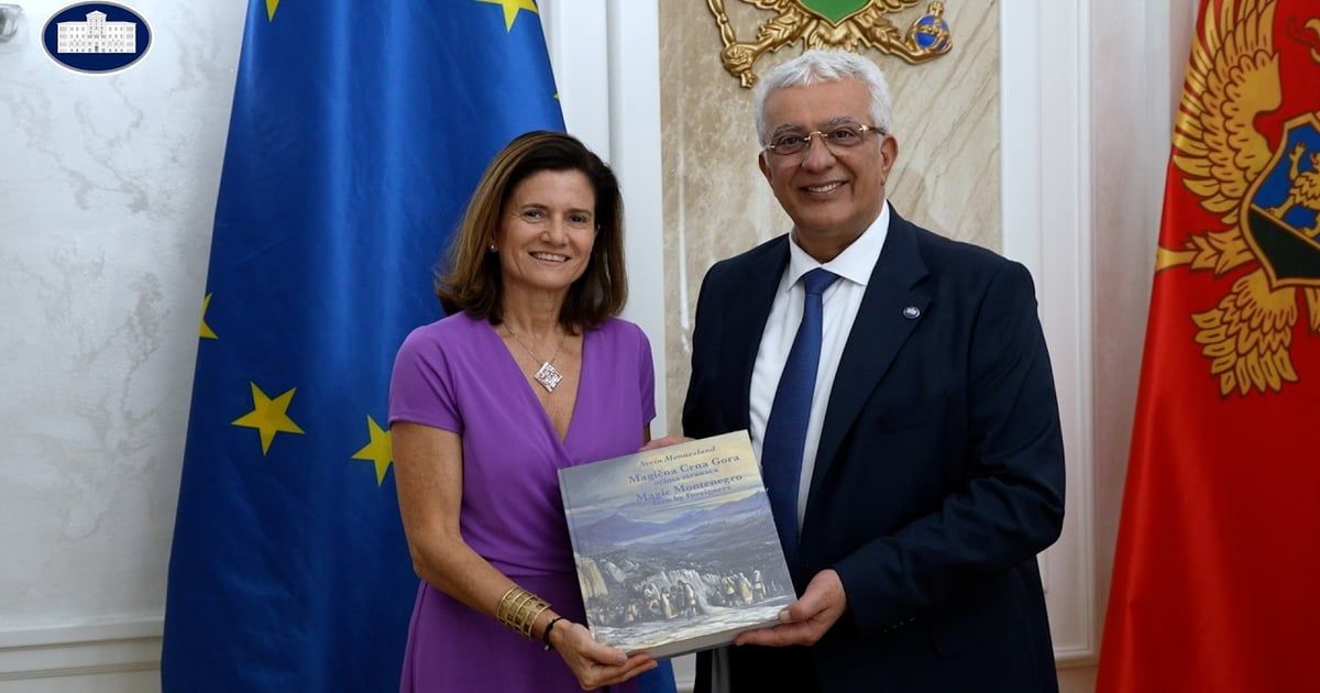 Mandić: Evropsko članstvo apsolutni prioritet države, Skupština ostaje posvećena ispunjava