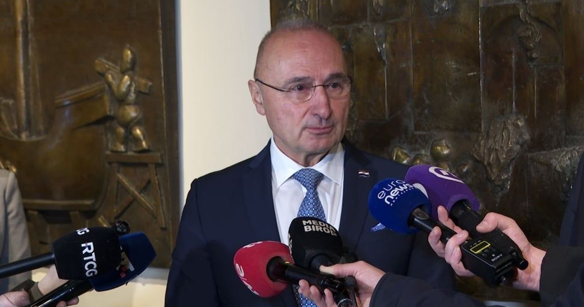 Grlić Radman: Ratko Mladić umro je kao osuđeni ratni zločinac