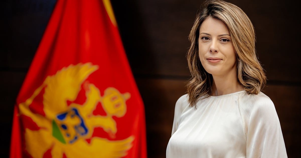 Novaković Đurović: Jesu li to ti evropski principi parlamentarne većine - veličanje ratnih zločina