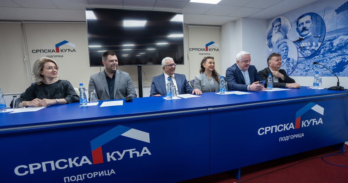 NSD: Vode kampanje protiv nas sa više adresa, ali smo neuništivi
