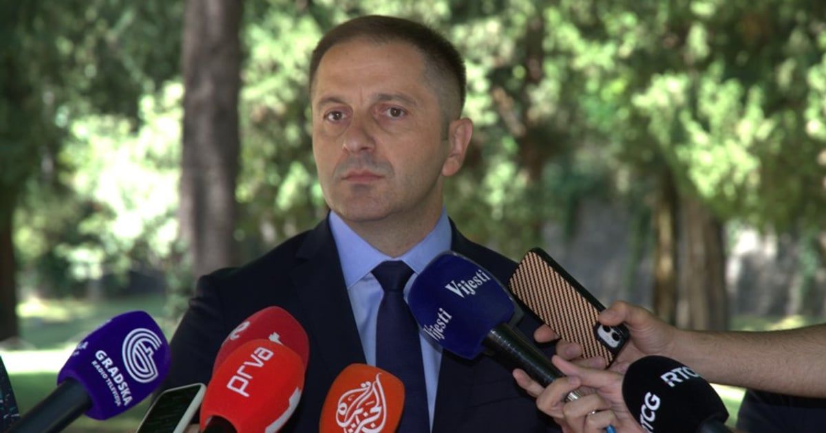 Šehović: Upozoravali smo, ali su nam govorili da pretjerujemo