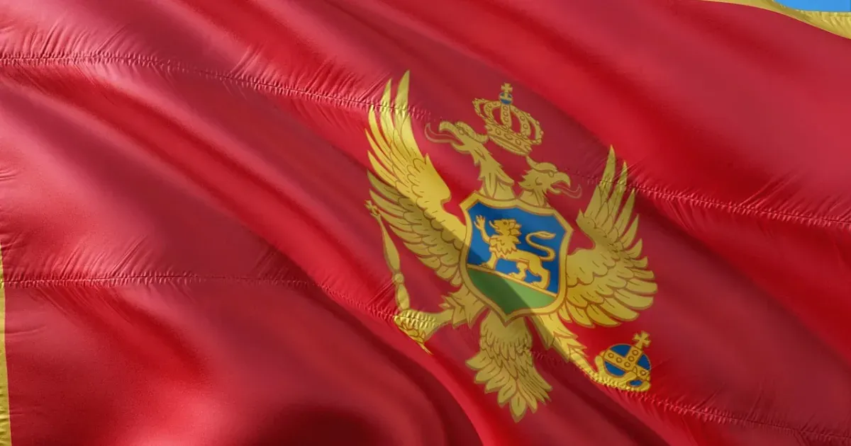 Savjet za dijasporu upozorio Vladu: Sređivanje biračkog spiska ne smije značiti brisanje d