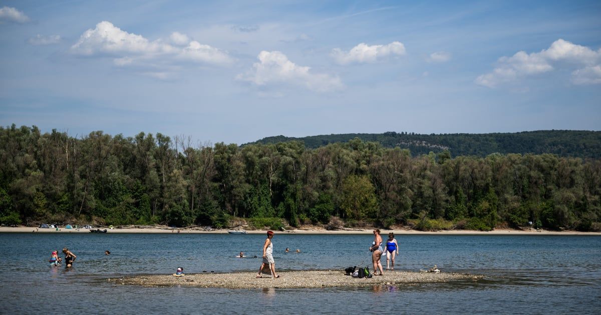 Presušuju Rajna i Dunav: Šteta bi mogla dostići 126 milijardi eura godišnje