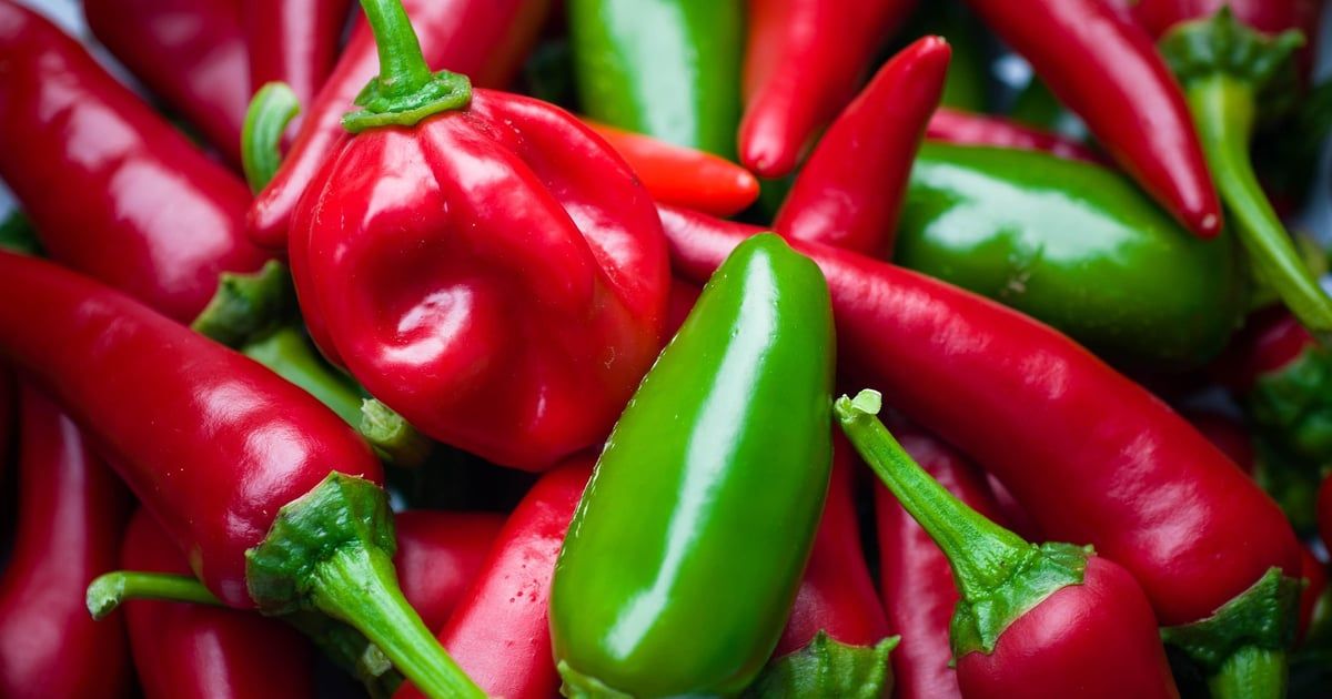 Meksičke halapenjo paprike povezane sa izbijanjem salmonele u 27 američkih saveznih država