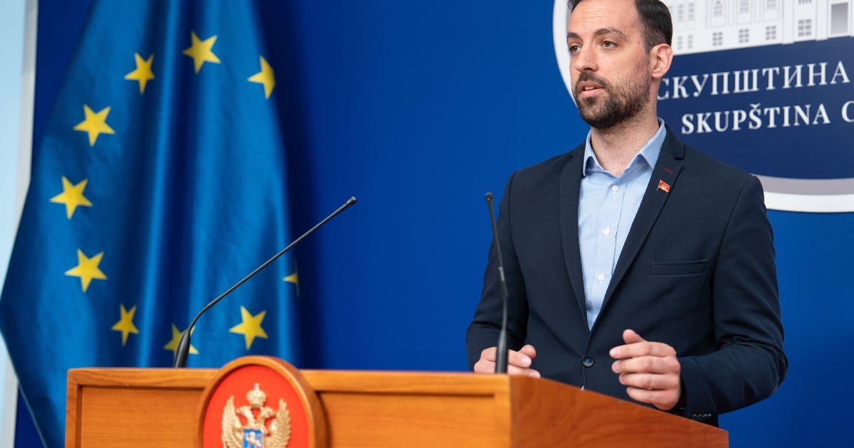 Zirojević o slučaju Niković: Čudan je Nikin odnos sa Demokratama, ali i sa našom konzulkom