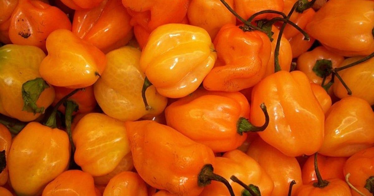 Bugarska je vratila 11,6 tona paprike iz Sjeverne Makedonije zbog povećanog nivoa pesticida