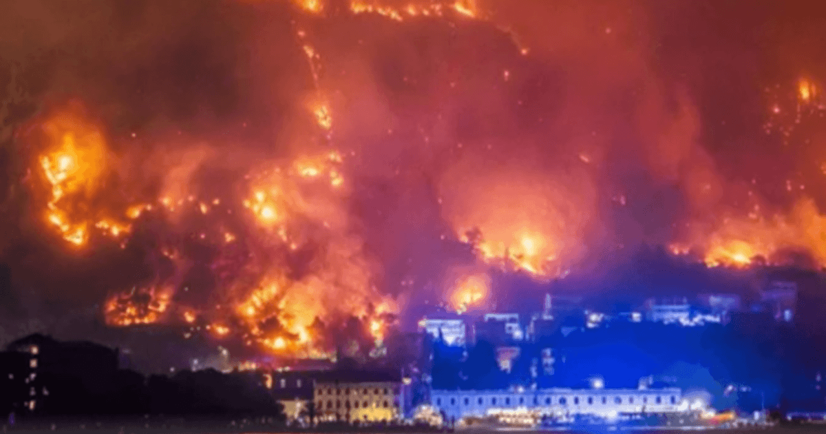 Osumnjičeni za požare kod Zadra od Hrvatske dobio više od 220.000 eura subvencija