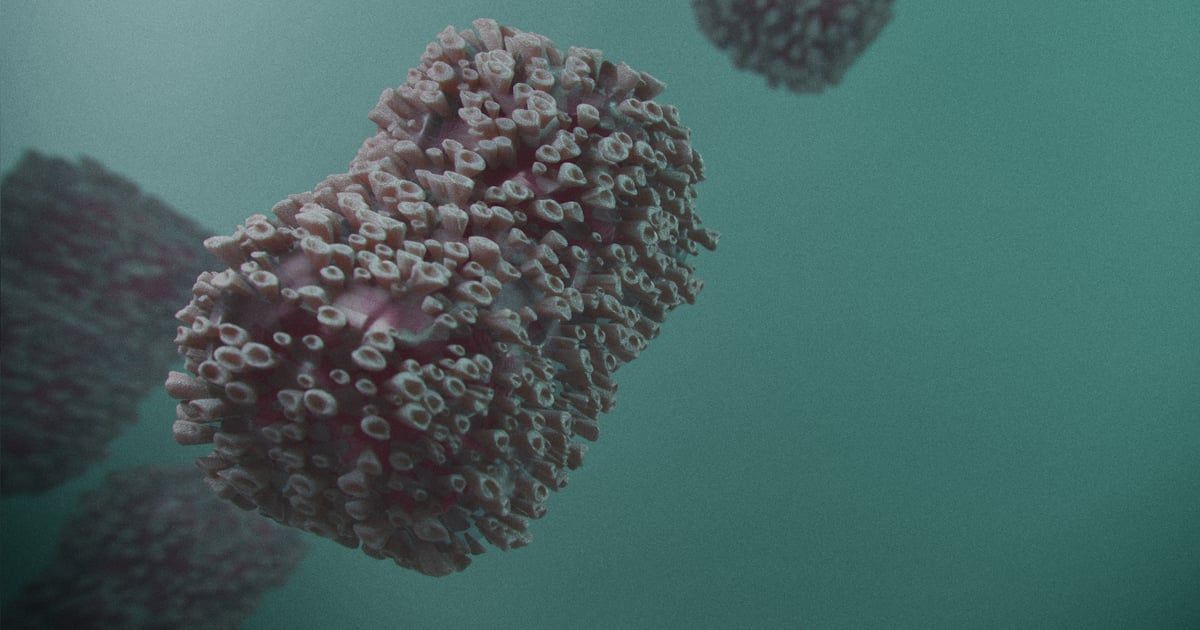 Četvrti smrtni slučaj zbog West Nile virusa u Severnoj Makedoniji