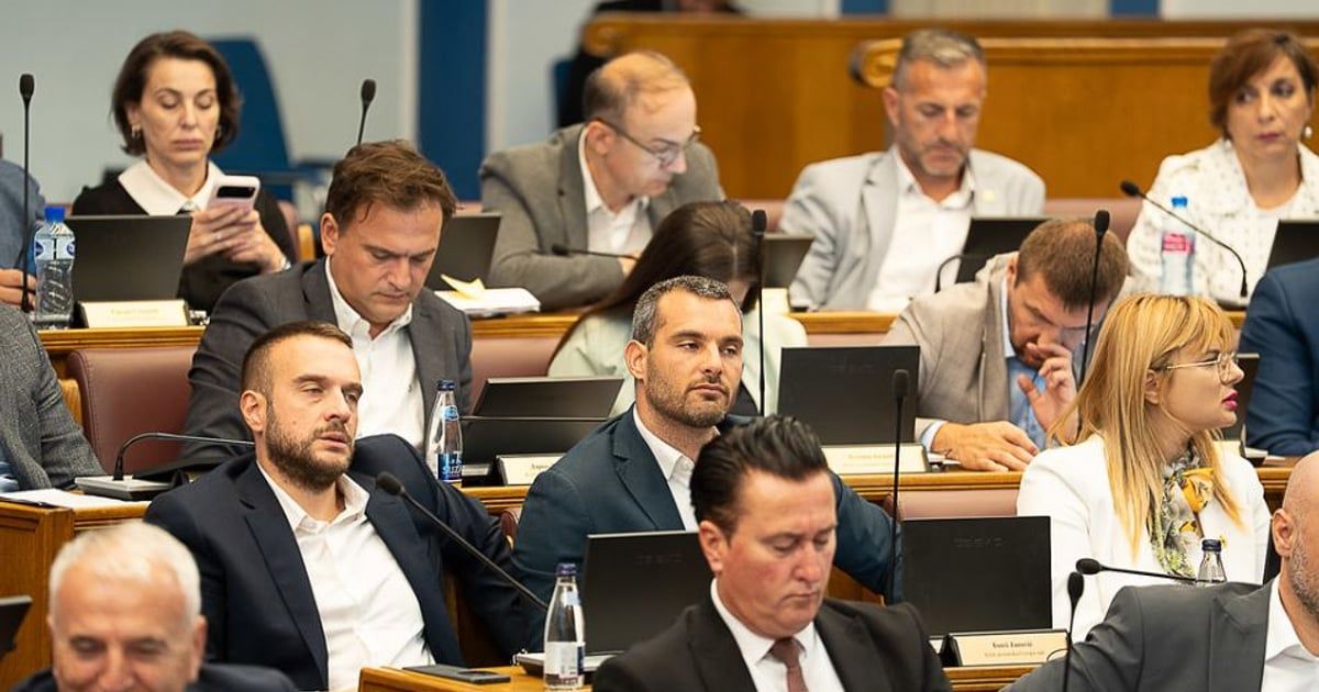 PES: U dokumentima jasno piše da služe u svrhu otpusta iz državljanstva
