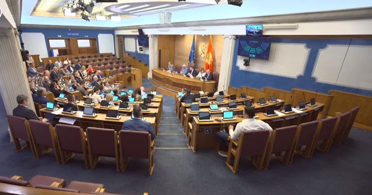 Knežević: Kad vidite sve opasnosti zbog čega glasate za amandmane na Ustav?; Živković: Gla