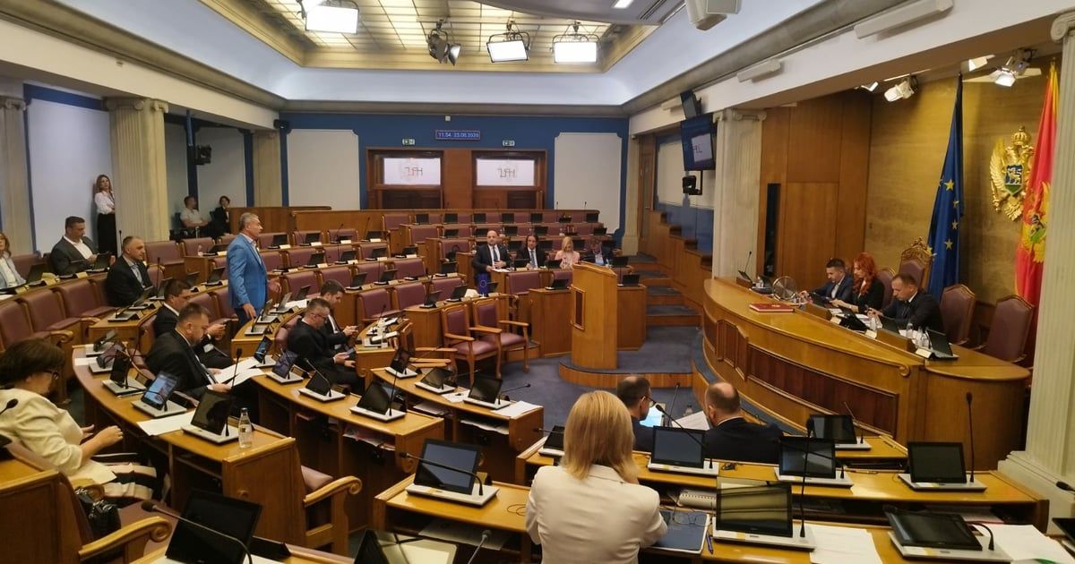 Nikolić: Kad država nekome daje veću moć prema građaninu, moraju postojati snažniji mehani