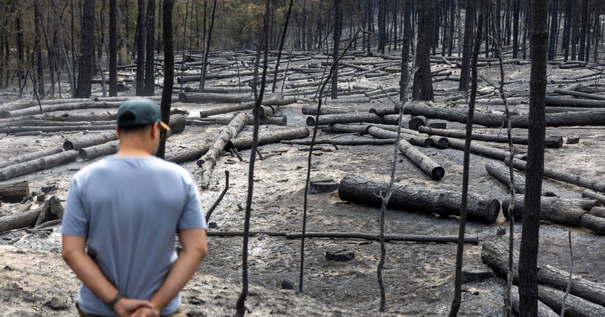 Požar u Deliblatskoj peščari i dalje aktivan, više od 500 ljudi na terenu