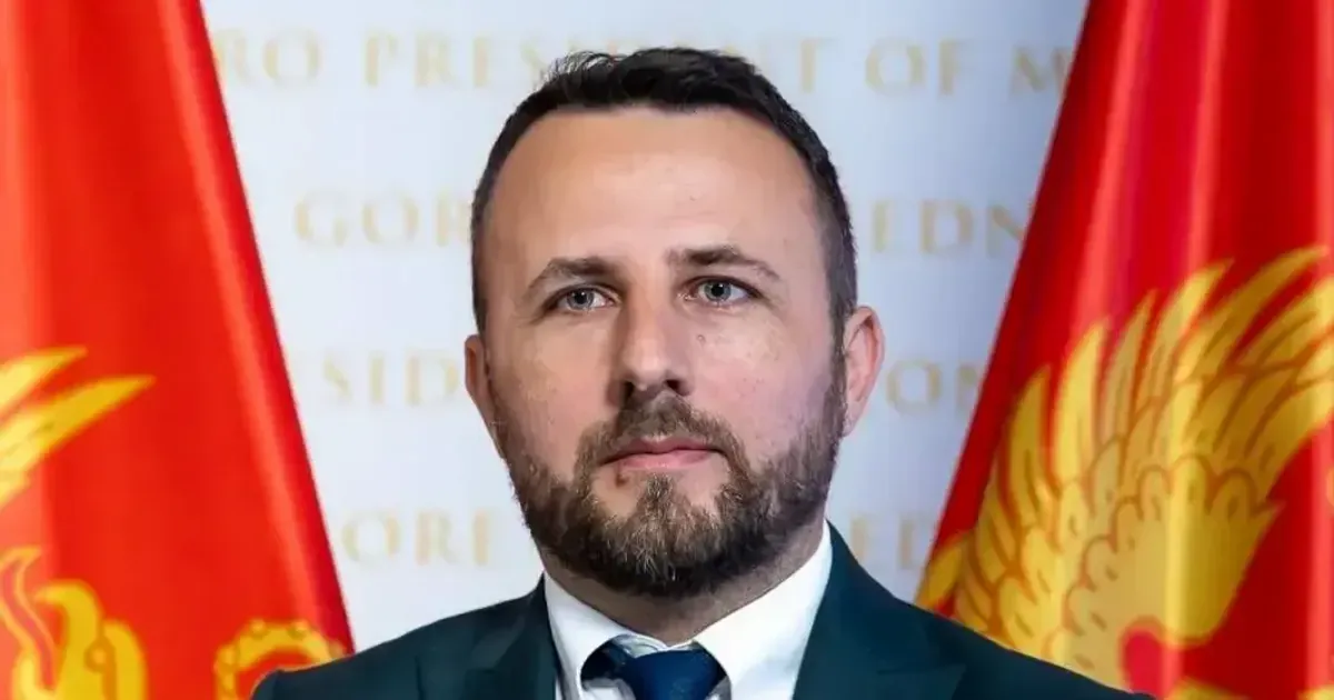 Lakić: Kad je sjednica Vijeća za nacionalnu bezbjednost? Za ozbiljne tvrdnje neophodan pra