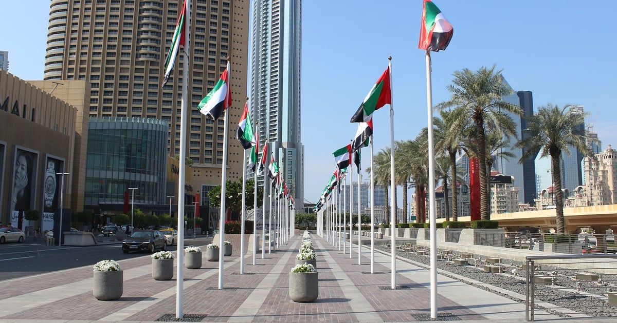 U UAE pomilovan egipatsko-turski pjesnik osuđen na 10 godina zatvora