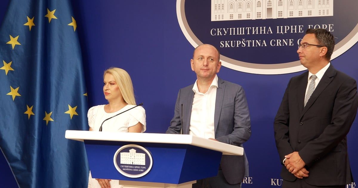 DNP neće prisustvovati sjednici na kojoj je planirana rasprava o smjeni Andrije Mandića