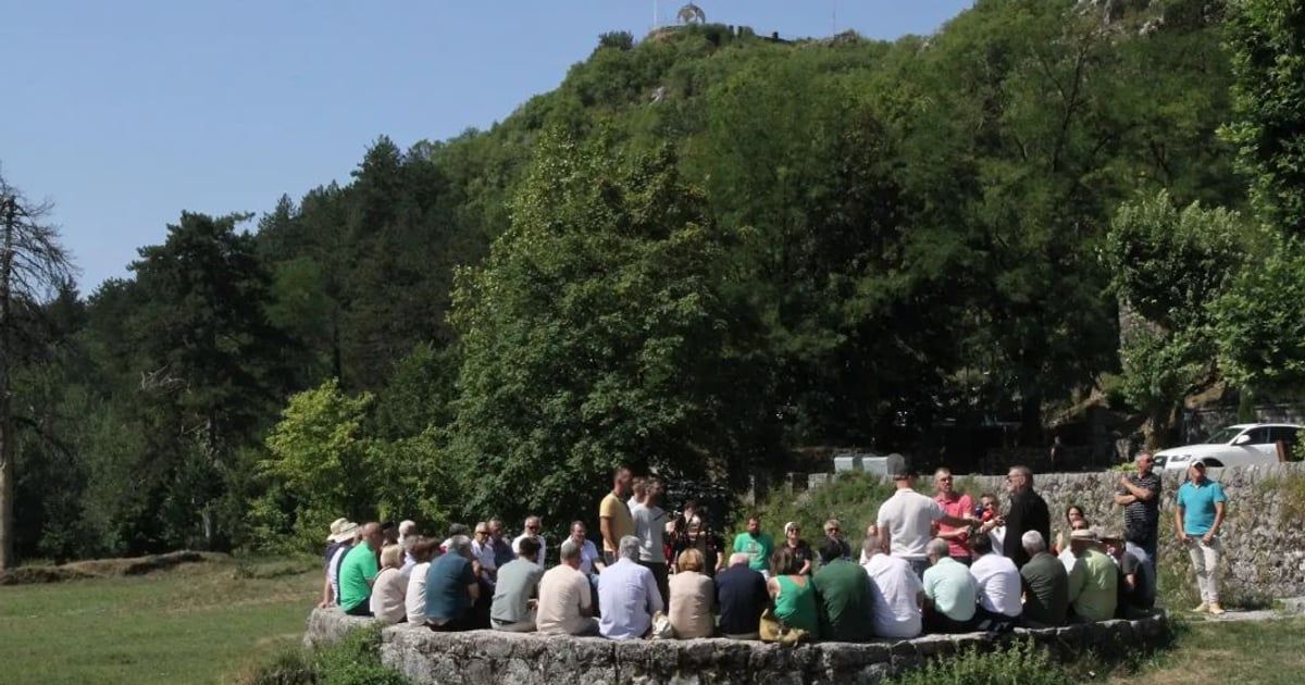Nikaljević: STEGA nije donijela nikakvu odluku o političkom svrstavanju