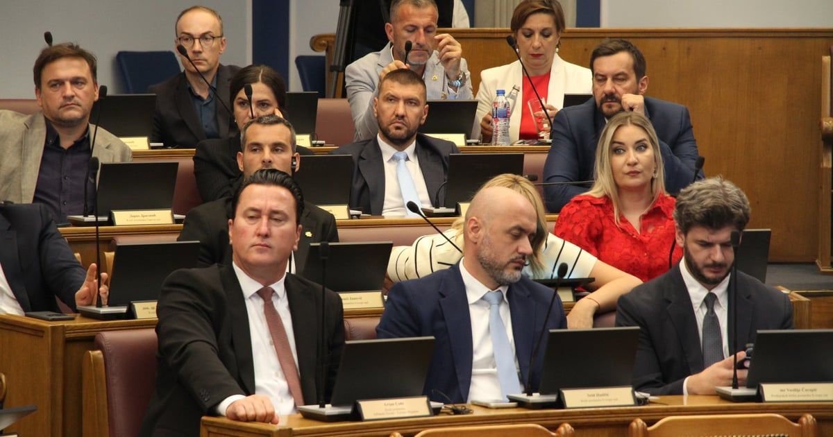 Vujović PES-u: U Parlamentu se ne glasa o Mandiću već o Mladiću, dobro je da znamo ko