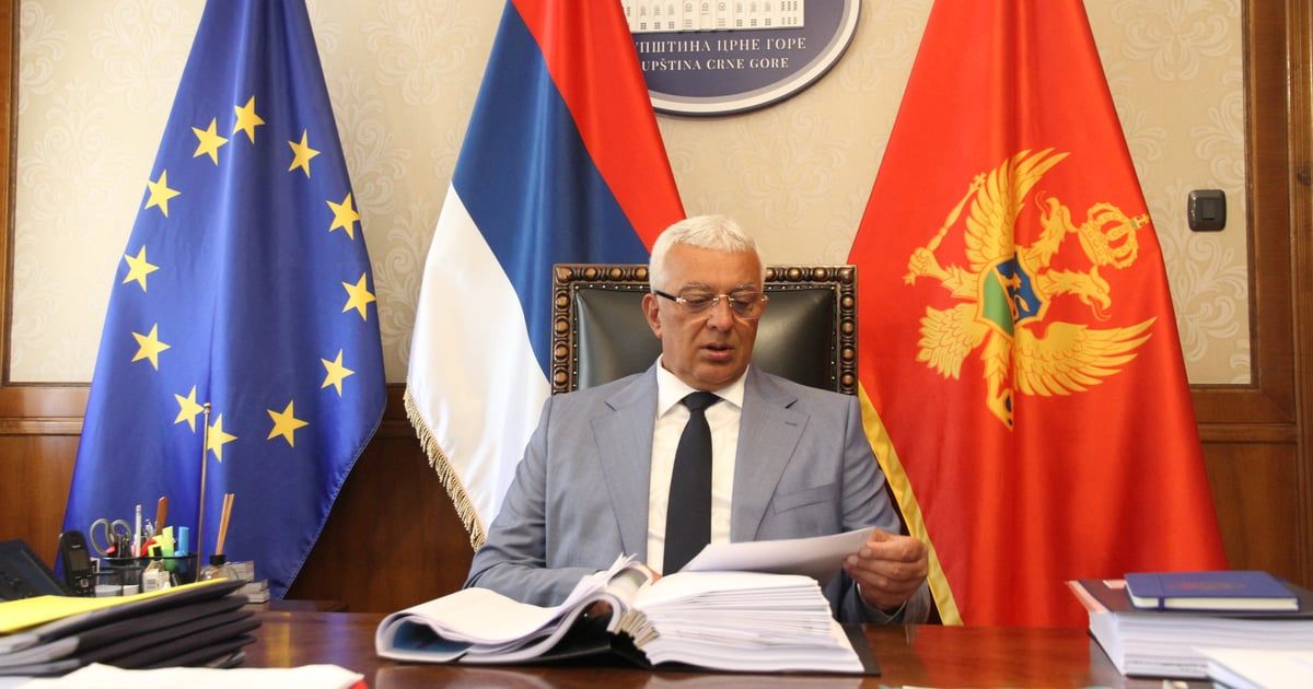 Evropski poslanici: Mandić je znao kakvu će reakciju izazvati, svako treba da glasa prema