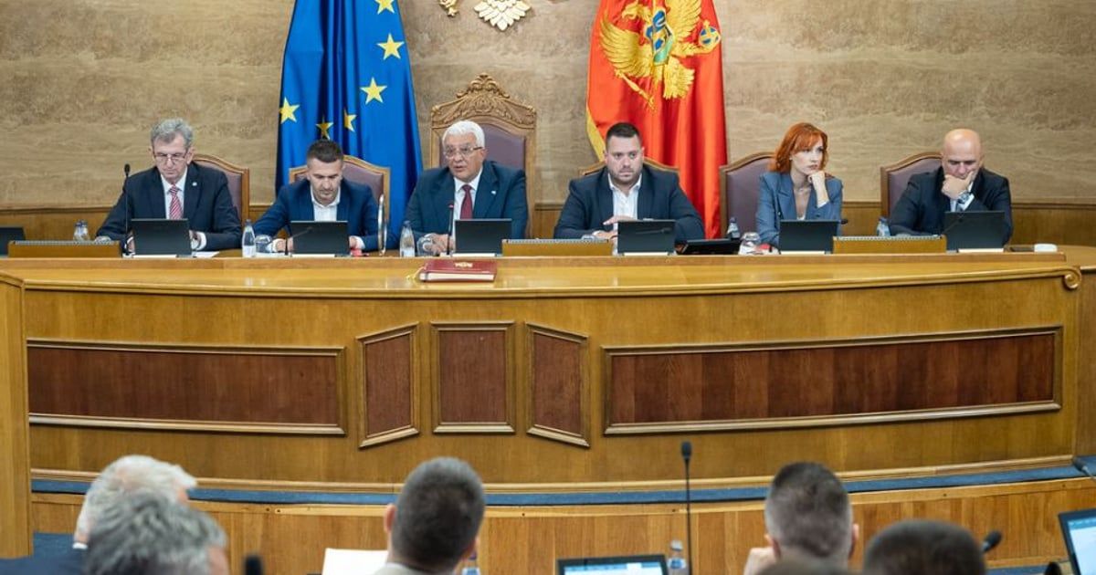 Mandić: Saučešće je običaj, DPS boli što ćemo ja i ova većina aplaudirati u Briselu kada C