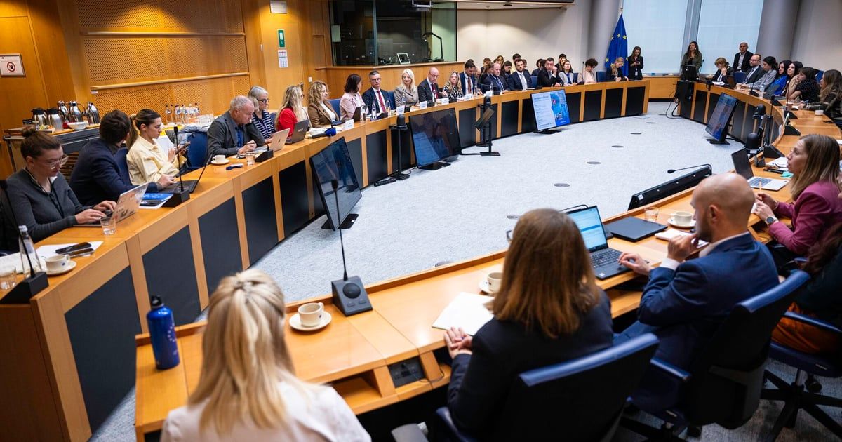 Gorčević u EP: Zajedno možemo učiniti da pristupanje Crne Gore bude ne samo državni, vec i