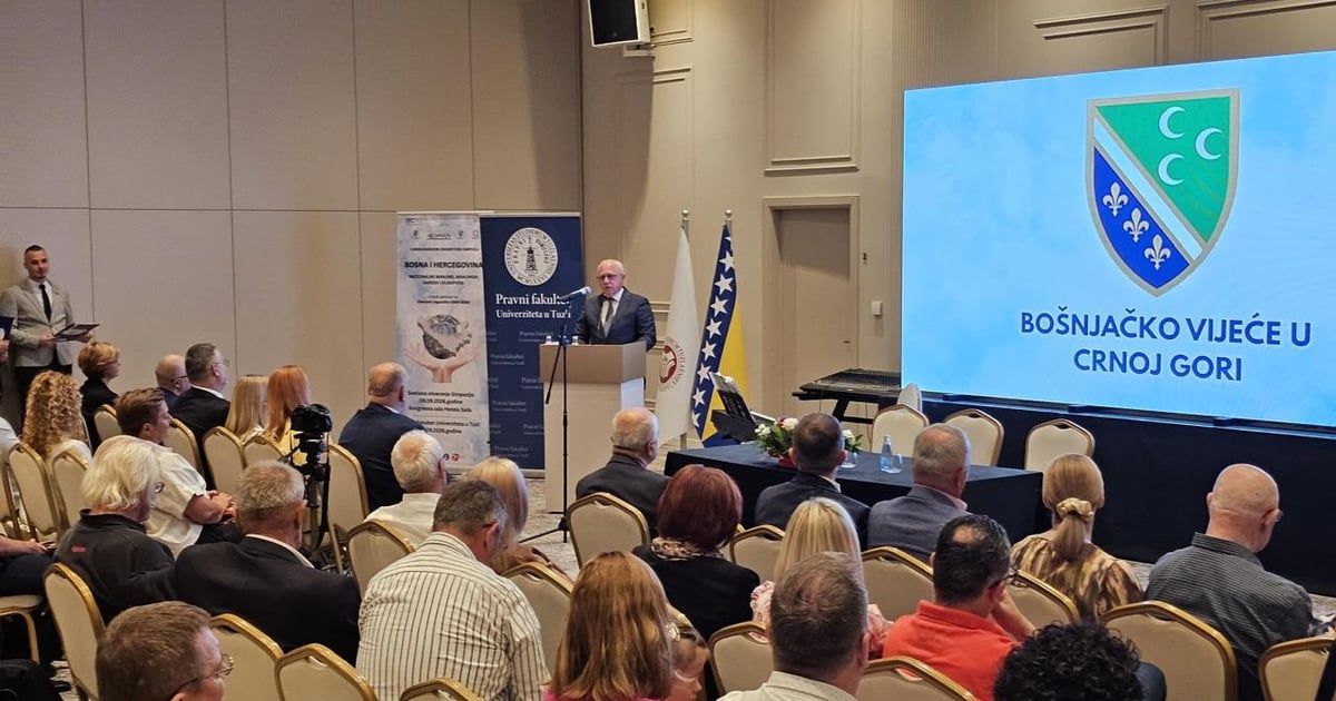 Mustafić: Stabilnost regiona počiva na poštovanju multietničke demokratije i manjinskih pr