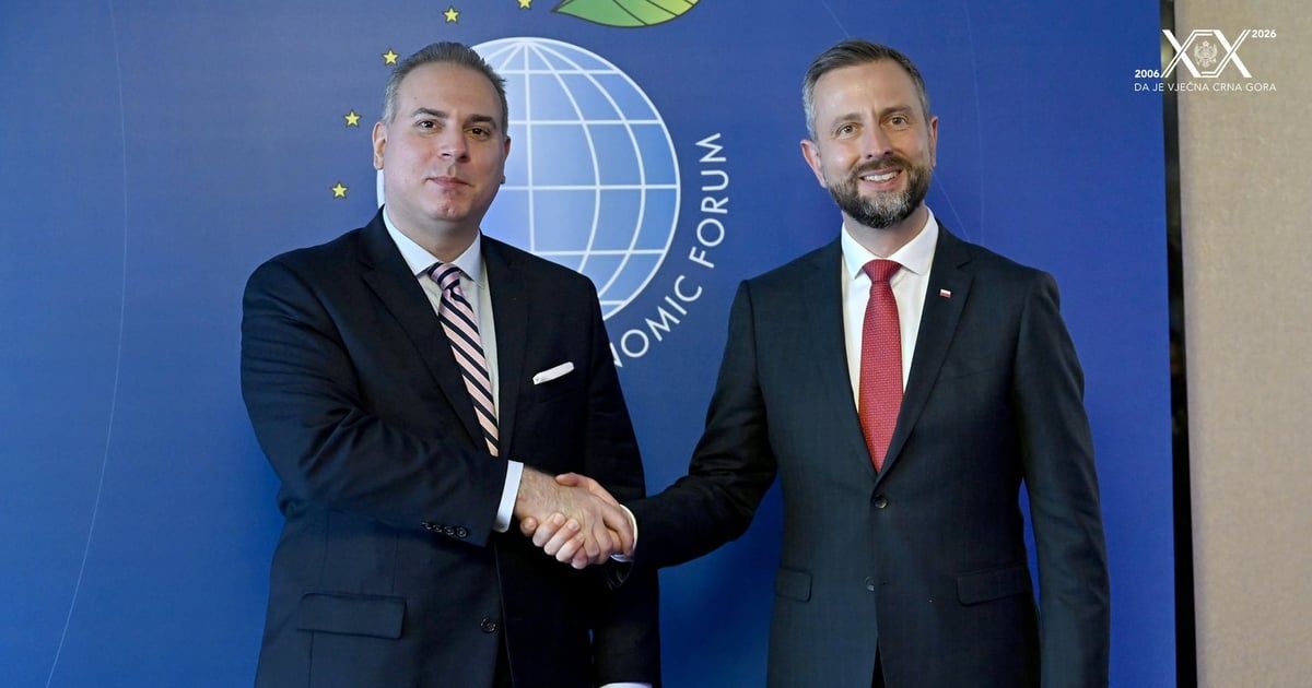 Crna Gora i Poljska snaže saradnju u oblasti digitalizacije i bezbjednosti