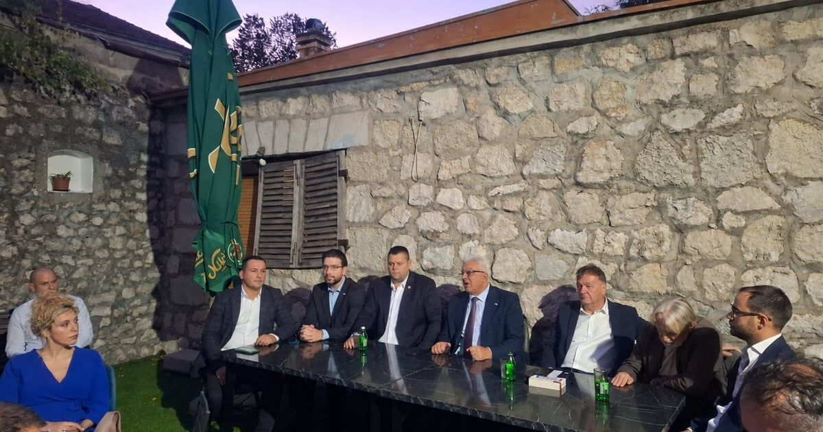 Mandić: Politika NSD-a je politika mira i stabilnosti, imamo izvjesnu, uspješnu i evropsku