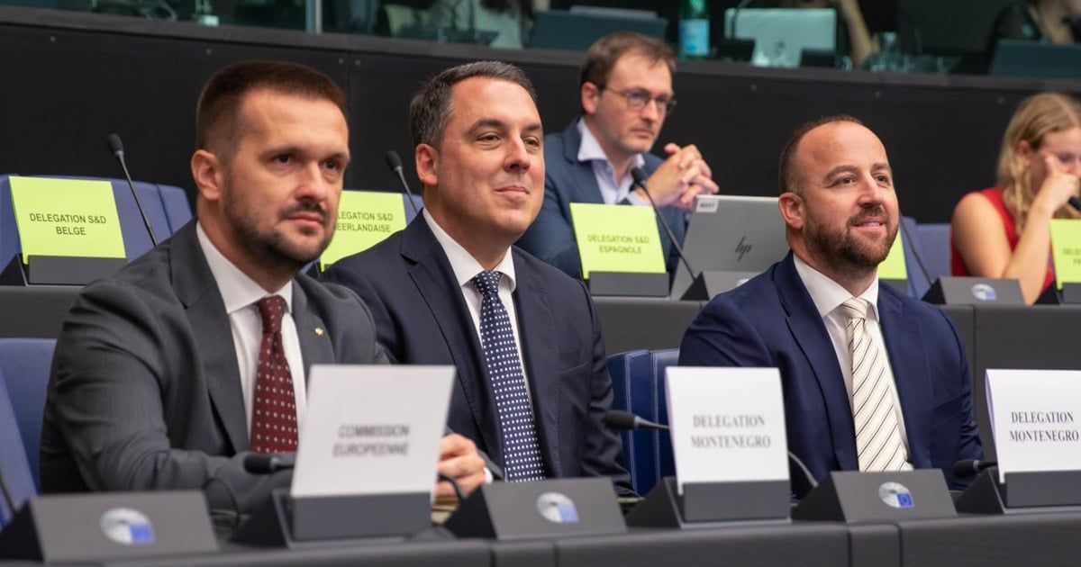 DPS: Istorijsko priznanje za našu partiju – prva smo politička organizacija iz Crne Gore i