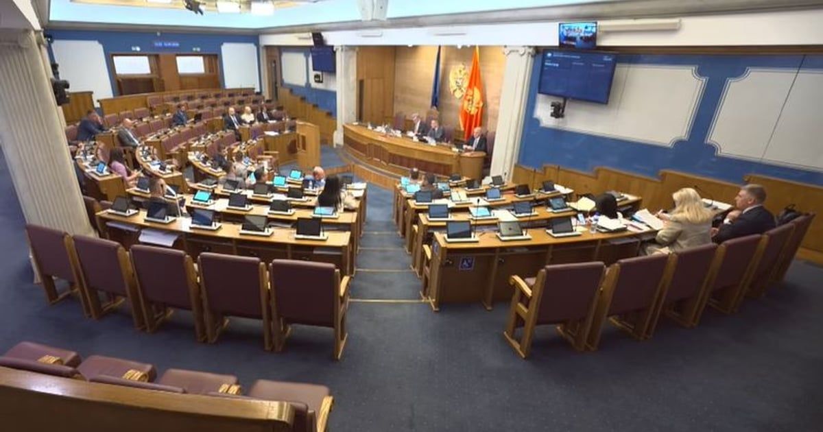 Nenezić: Dio onih koji se kriju iza lažnih profila finansiraju se iz lokalnih budžeta