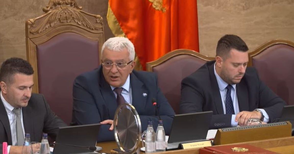 Mandić: Nemamo dvotrećinsku većinu za promjenu Ustava, ali imamo dodatne razgovore većine