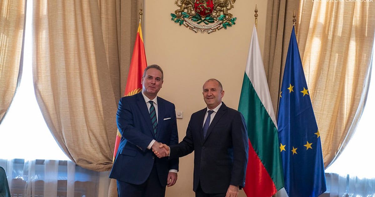 Ivanović u Sofiji sa Radevim: Crna Gora želi da završi pregovore do kraja godine