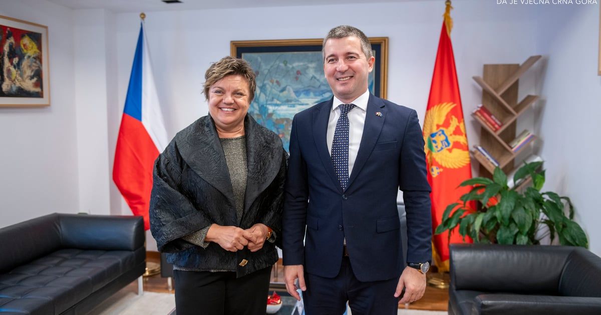 Hrebičkova Bečiću: Konačno se nazire da bi Crna Gora 2028. mogla postati članica EU
