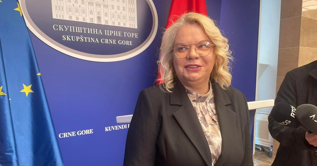 Vukićević: Hrvatska svjesno opstruira Crnu Goru