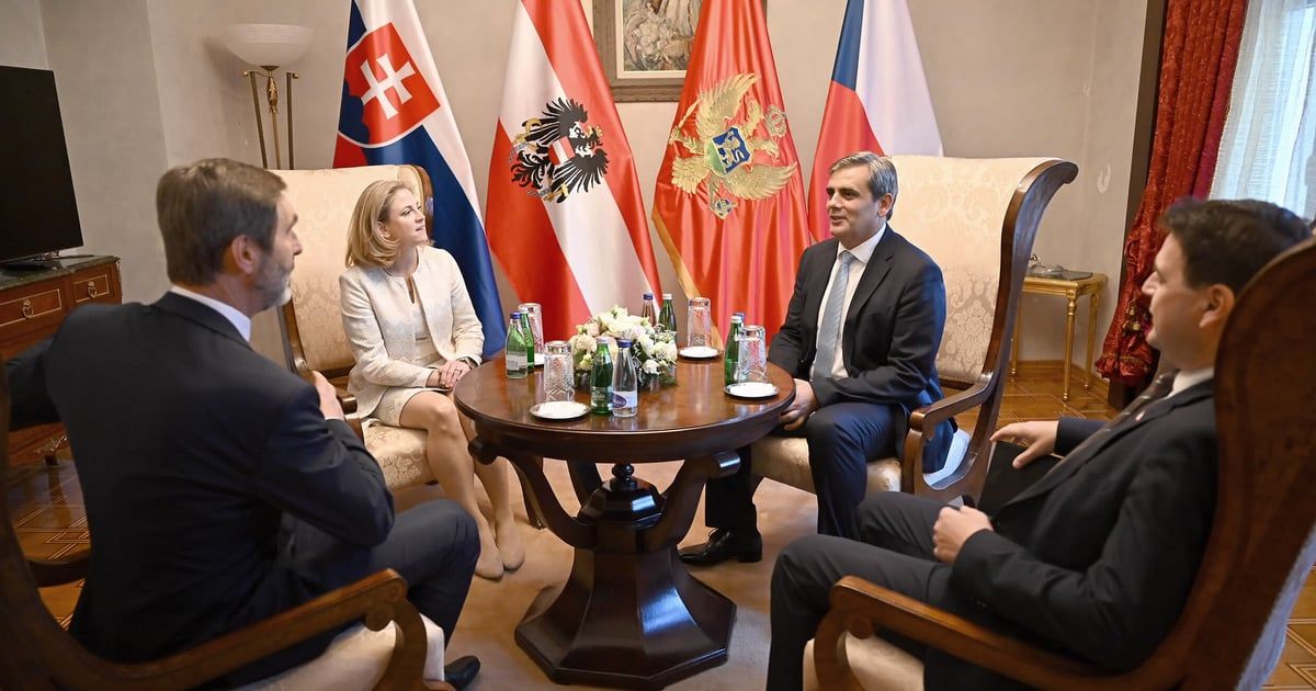 Ibrahimović sa ministrima Austrije, Češke i Slovačke: Crna Gora ima punu podršku u završni