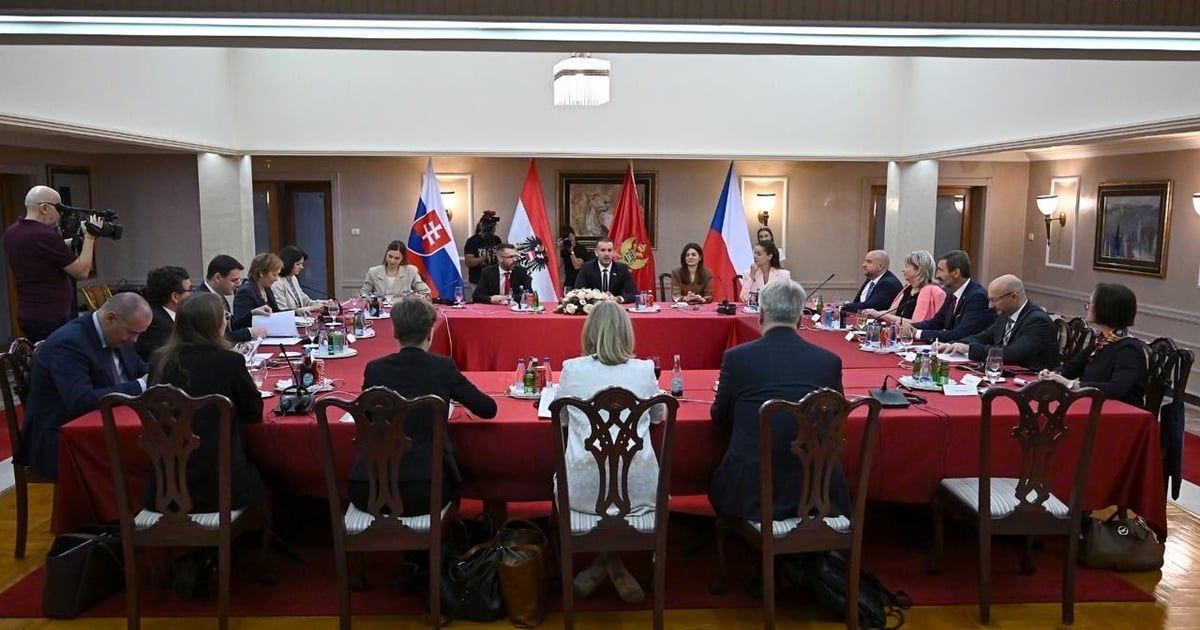 Spajić: Snažna podrška Austrije, Češke i Slovačke članstvu Crne Gore u EU